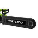 Electric Chainsaw 14 Inches 5340 RPM Speed Handheld 9 Amp Electric Wood Cutter Chainsaw, Green