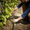 NEW 50 ft. x 3/4 in. Flat Seeper Soaker Hose – Heavy-Duty Garden Irrigation Hose, Water-Saving Drip Hose for Flower Beds, Lawns & Raised Gardens