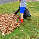 12 amp electric leaf blower vacuum collecting dry leaves
