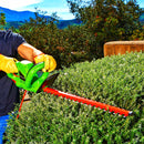 Electric hedge trimmer in use trimming garden hedges and shrubs for outdoor landscaping maintenance