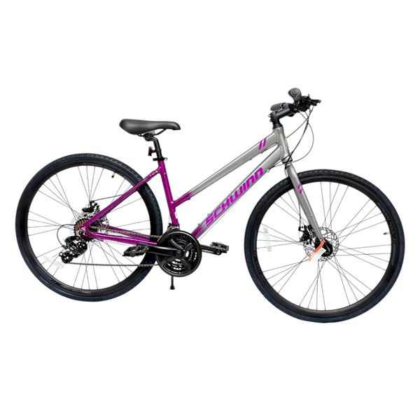 Disc Brakes Schwinn Dsb Hybrid Bike Womens HOT Mountain Bike
