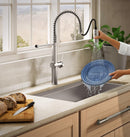 Kohler Haku kitchen faucet water spray