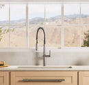 Kohler Haku pull-down kitchen faucet installed at sink