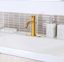 Ryden brushed gold faucet on bathroom vanity sink