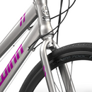Schwinn Circuit 700c hybrid bike front frame and tire