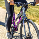 Schwinn women's hybrid bike 28 in gray purple frame