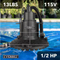 Everbilt 1/4 hp Submersible Pool Cover Pump