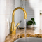 Wellspring  1.5 GPM Single Hole Cold Water Dispenser, Gooseneck Beverage Faucet, Single Hole Deck Mount, Solid Brass in Vibrant Brushed Moderne Brass
