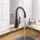 KOHLER Wellspring Traditional Beverage Faucet, Oil-Rubbed Bronze, K-6666-2BZ