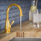 Wellspring  1.5 GPM Single Hole Cold Water Dispenser, Gooseneck Beverage Faucet, Single Hole Deck Mount, Solid Brass in Vibrant Brushed Moderne Brass