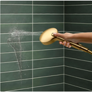 Kohler HydroRail 3-in-1 Multifunction Showerhead and Column Kit