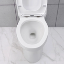 OVE Decors Sabine One Piece Toilet(Local Pickup Only)