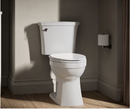 WaterRidge One-piece Elongated Toilet (Local Pickup Only)