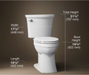WaterRidge One-piece Elongated Toilet (Local Pickup Only)