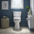 Kohler Border Elevated Quiet-close Elongated Toilet Seat