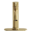 Glacier Bay Ryden Single Hole Single-Handle Bathroom Faucet in Brushed Gold