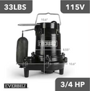 Everbilt 3/4 HP Pro Snap Action Submersible Sump Pump