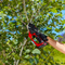 BAUER 20V Brushless Cordless Pruning Saw – 5 in. Guide Bar, Lightweight, Tool Only