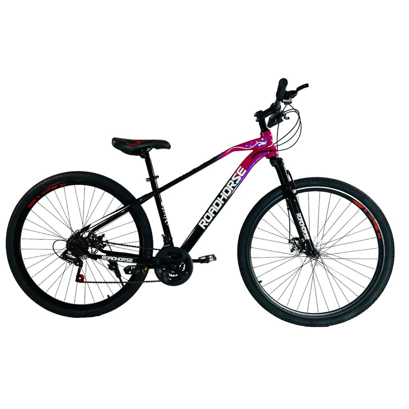 ROADHORSE Carbon Steel Mountain Bike: 29
